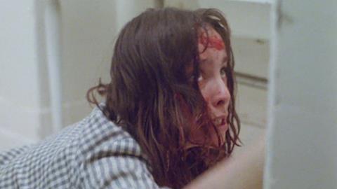 Ich Habe Dir Nie Einen Rosengarten Versprochen